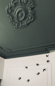 Plafond avec moulure original sur une teinte vert foncé