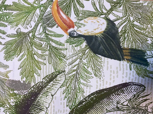 papier peint paysage nature avec un toucan