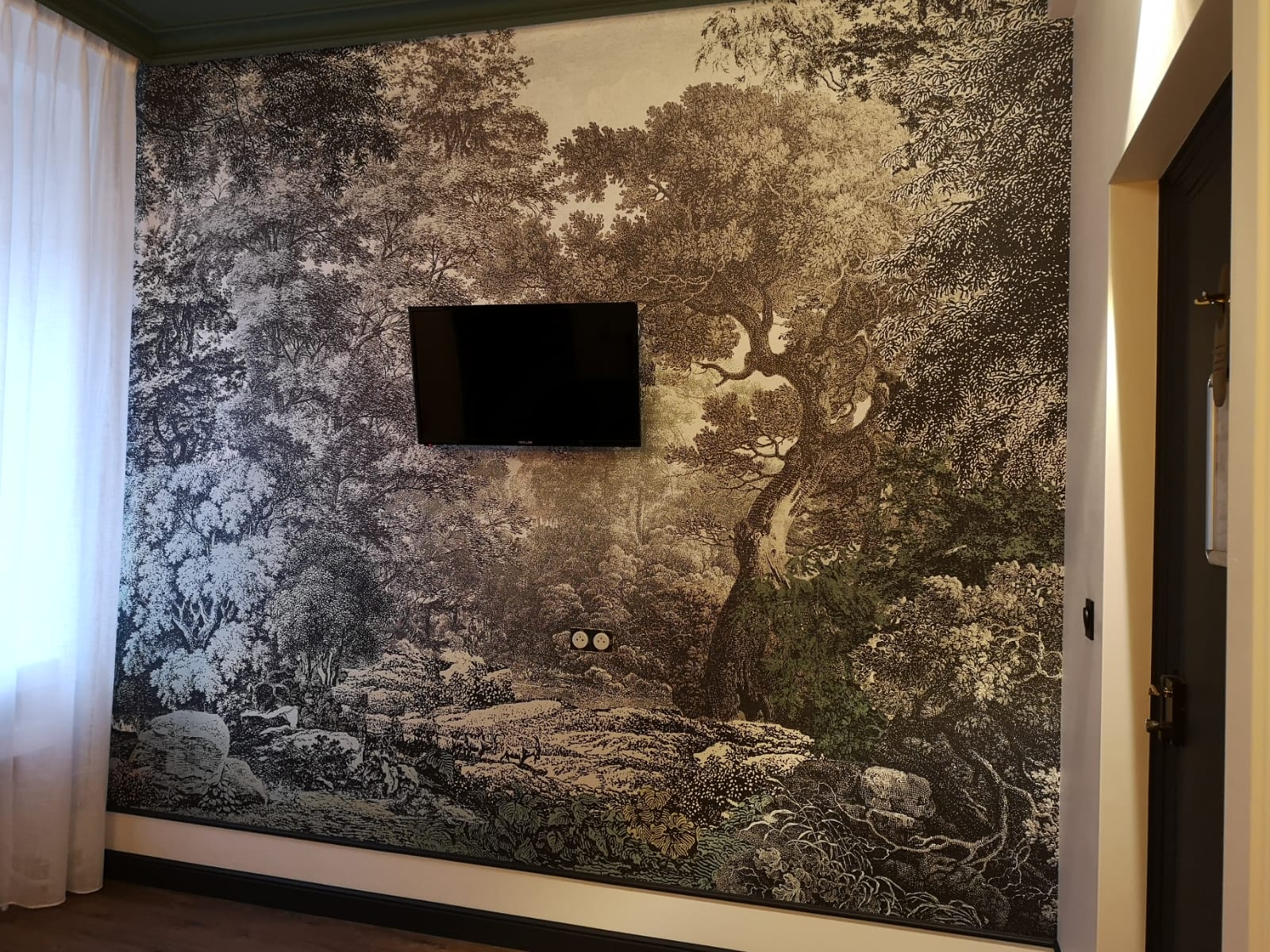 Photo du mur TV avec un panoramique représentant une forêt