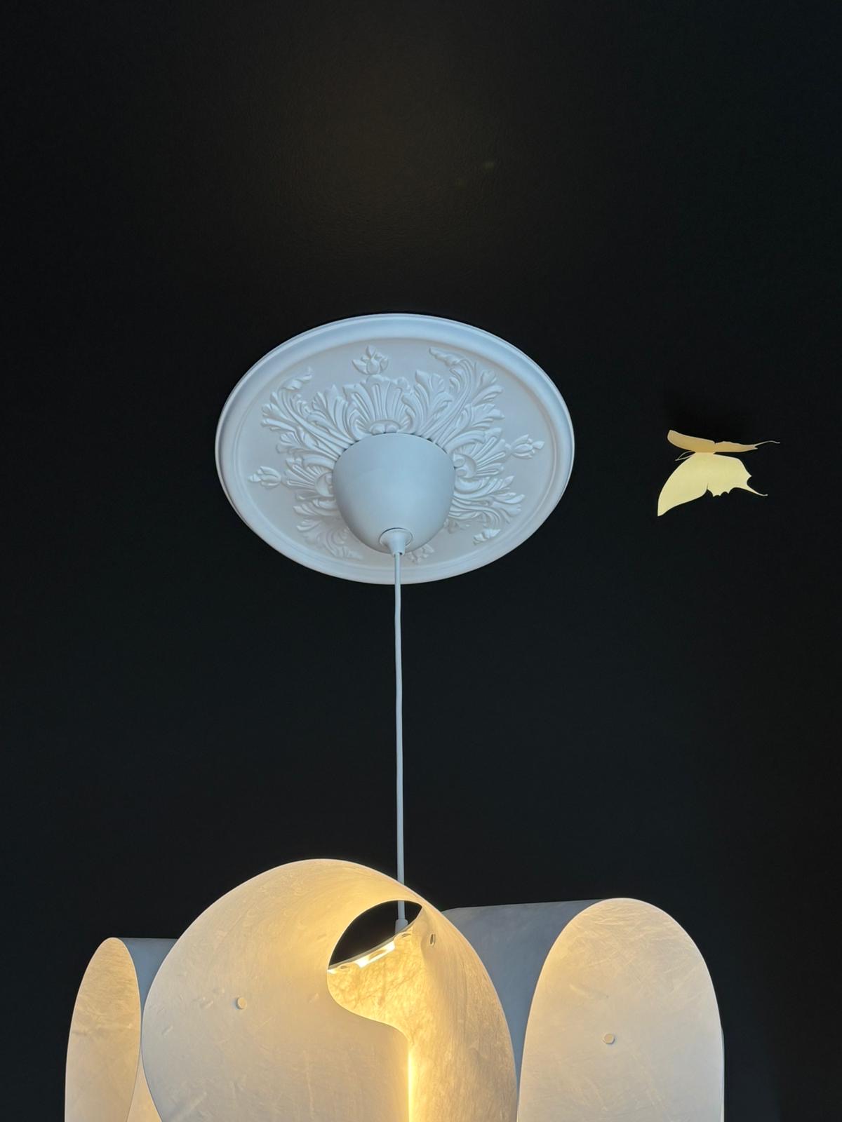 rosace - plafond - noir - moulure - luminaire - deco - design